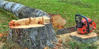 Best Emergency Tree Removal  in Preston, ID