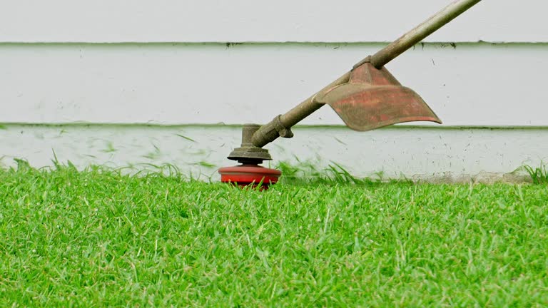 Reliable Preston, ID Tree Services Solutions