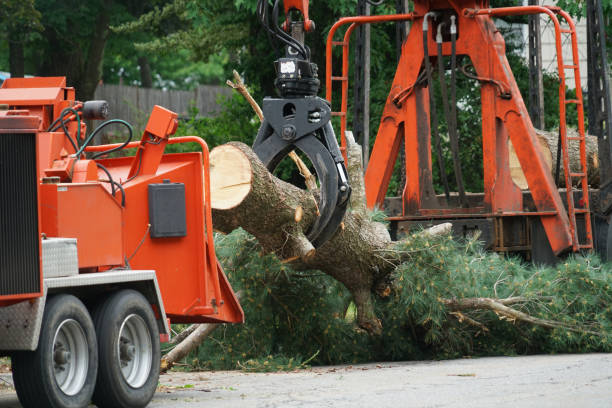Best Lawn Drainage Solutions  in Preston, ID